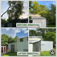 Lone Star Tree Services image 6